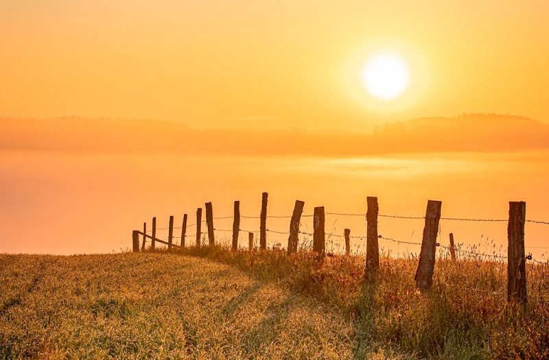 Solnedgang over mark med hegn