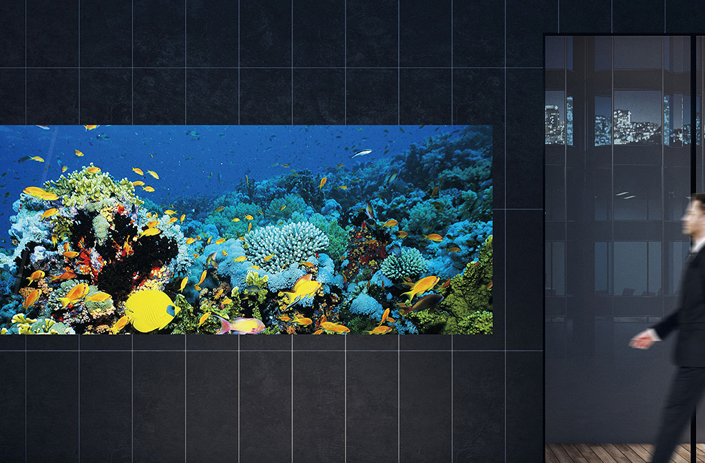 55" LED skærm fra Panasonic viser billede af akvarium